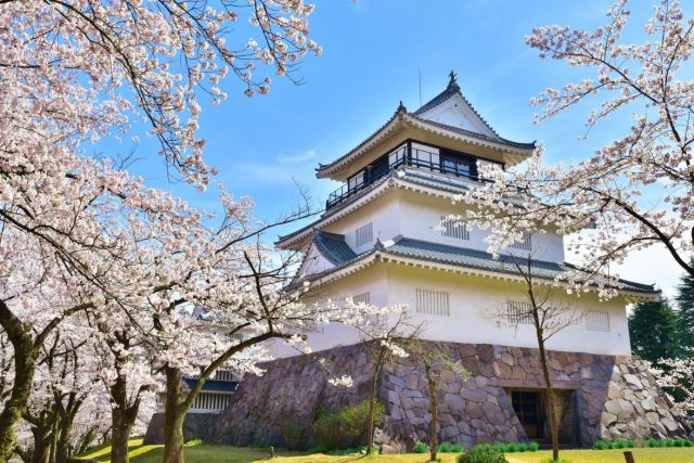 悠久山公园