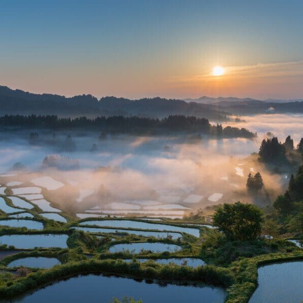 호시토게의 계단식 논