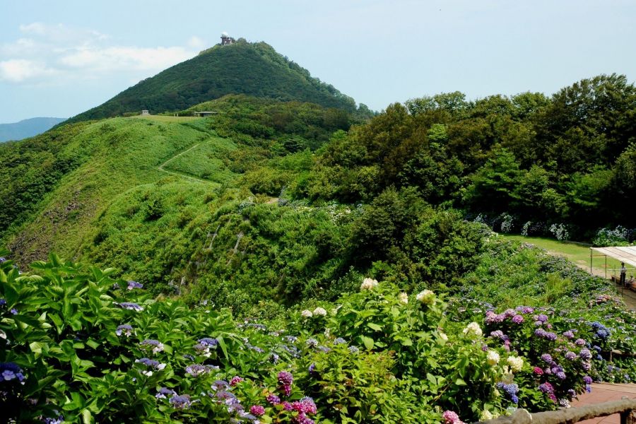 弥彦山 观光 enjoy 新潟