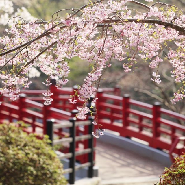 สวนสาธารณะยาฮิโกะ