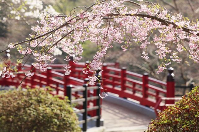 Yahiko Park