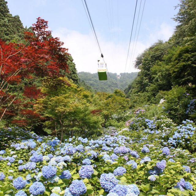 Yahikoyama Ropeway
