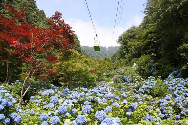 Yahikoyama Ropeway