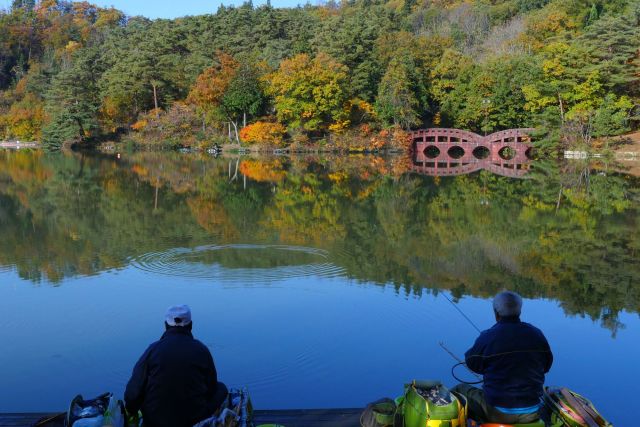 Ohira Forest Park