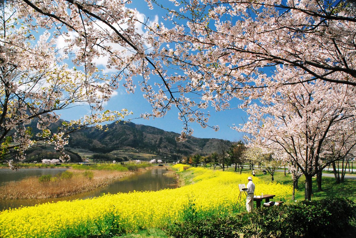 上堰潟公園 精彩景點 活動 暢享新潟