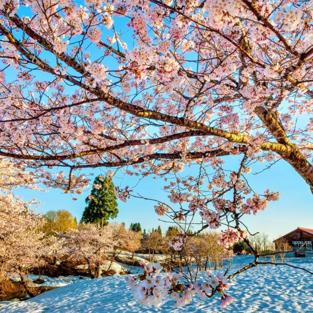 ช่องเขา Fukuyama