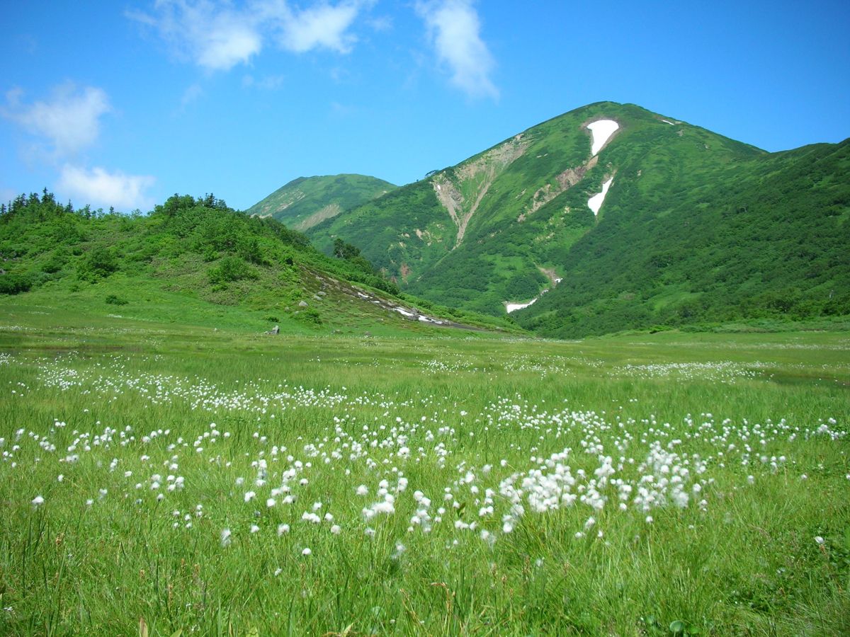 Mt Hiuchi What To See Do Enjoy Niigata