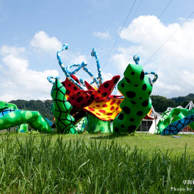 Echigo-Tsumari Art Field