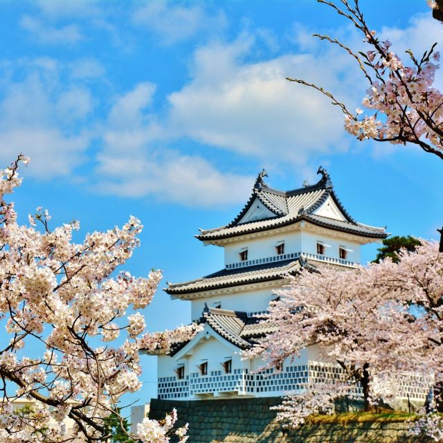 Shibata Castle Ruins Park