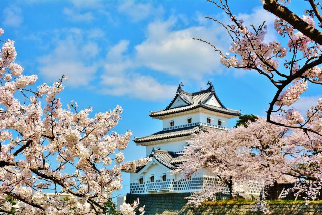 新發田城、新發田城址公園