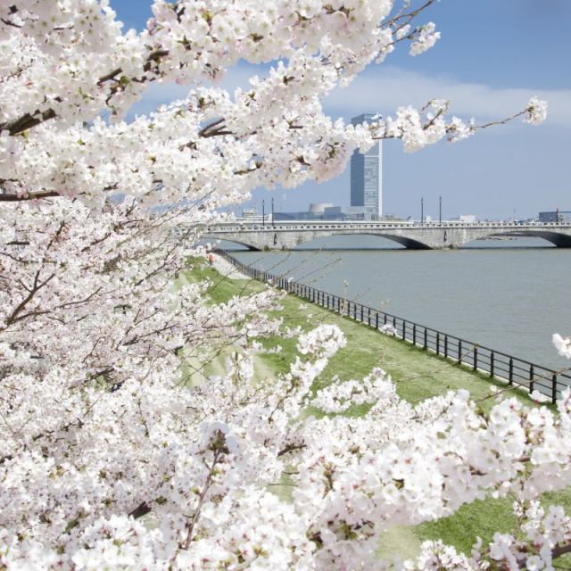 Yasuragitei Embankment