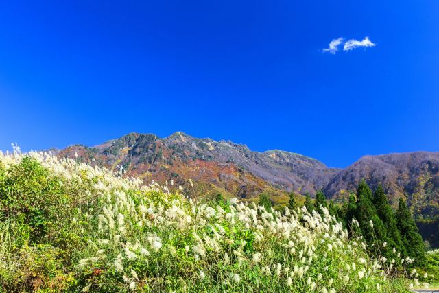 八海山纜車・八海山展望台