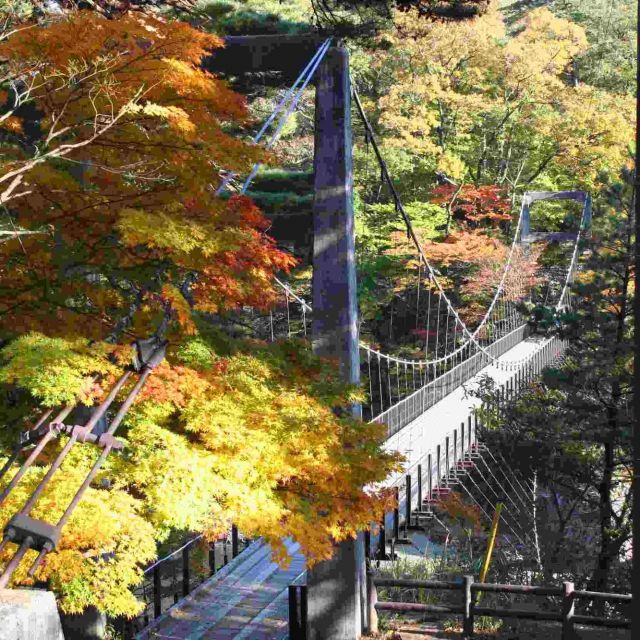Arakawakyo Momiji Line and Takanosu Suspension Bridge