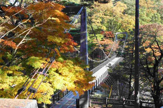 Arakawakyo Momiji Line and Takanosu Suspension Bridge