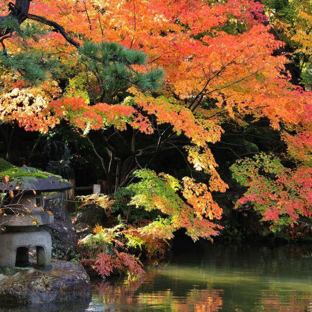 Hakusan Park