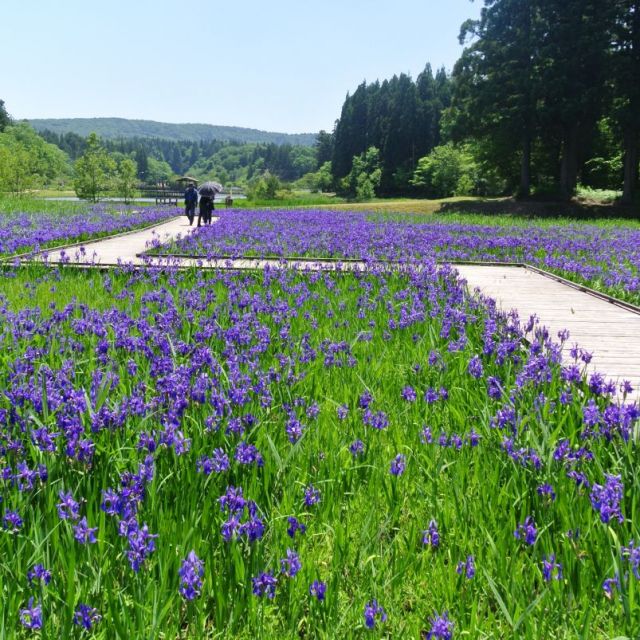 Kashiwazaki Yumenomori Park