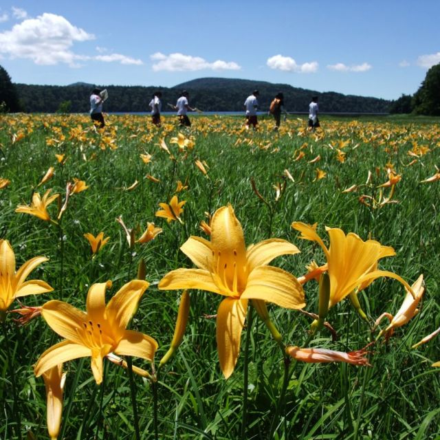Oze National Park