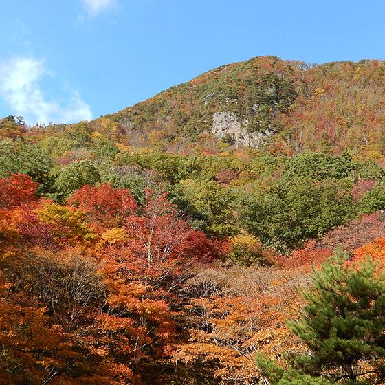 Momijiyama Park