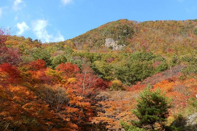 Momijiyama Park