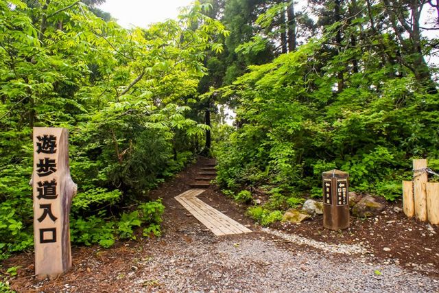 Osadoishina Natural Cedar Walking Path