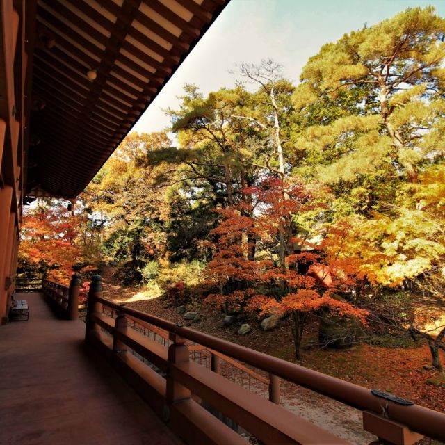 Oppoji Temple