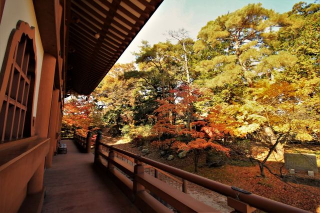 Oppoji Temple