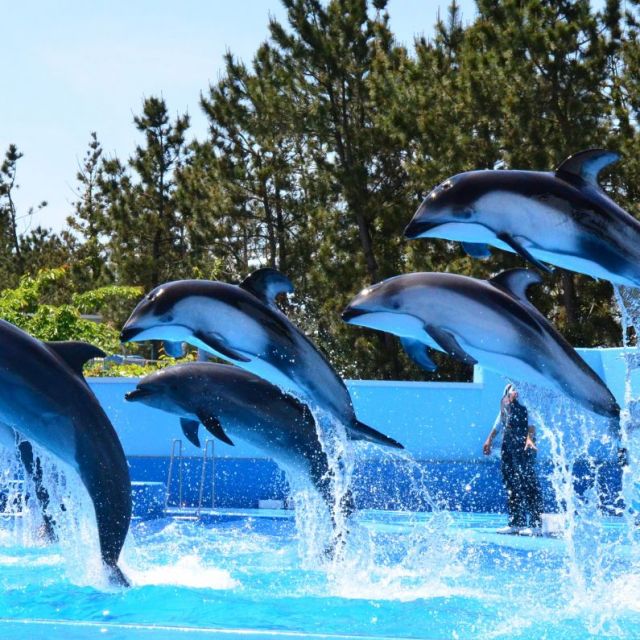 Marinepia Nihonkai - Niigata City Aquarium