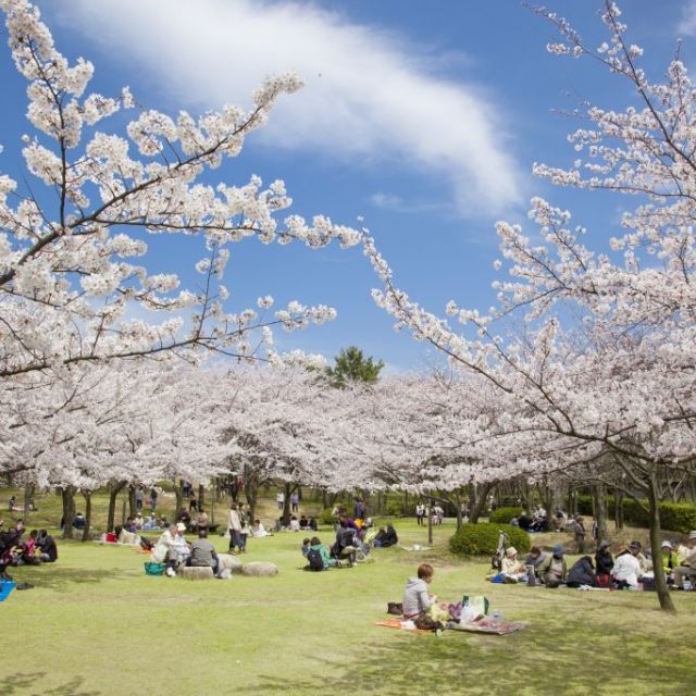 Toyanogata Park