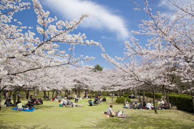 Toyanogata Park