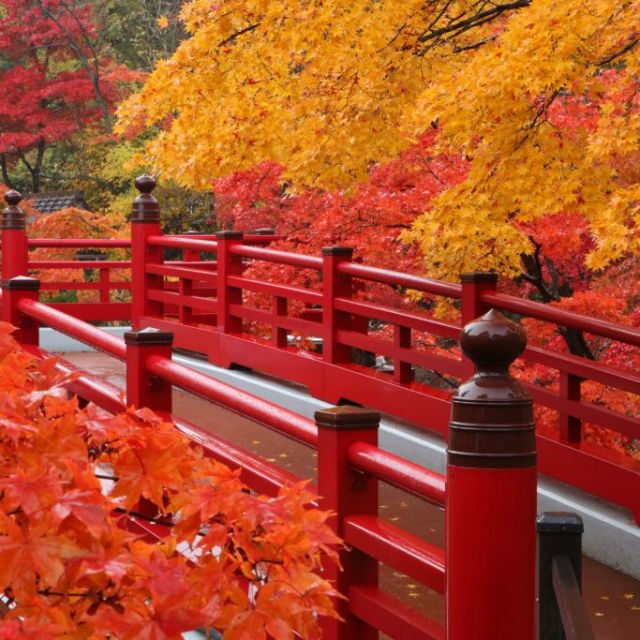 Yahiko Park
