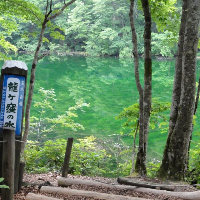 Ryugakubo Pond