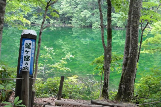 Ryugakubo Pond