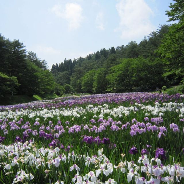 Ijimino Park