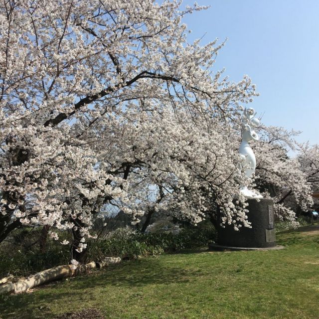 Akiha Park