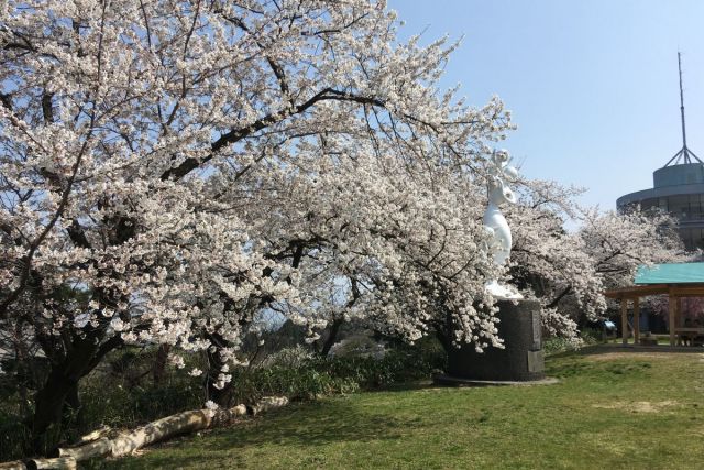 Akiha Park