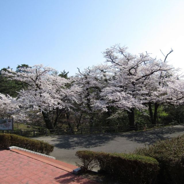 Akasakayama Park