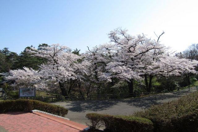 Akasakayama Park