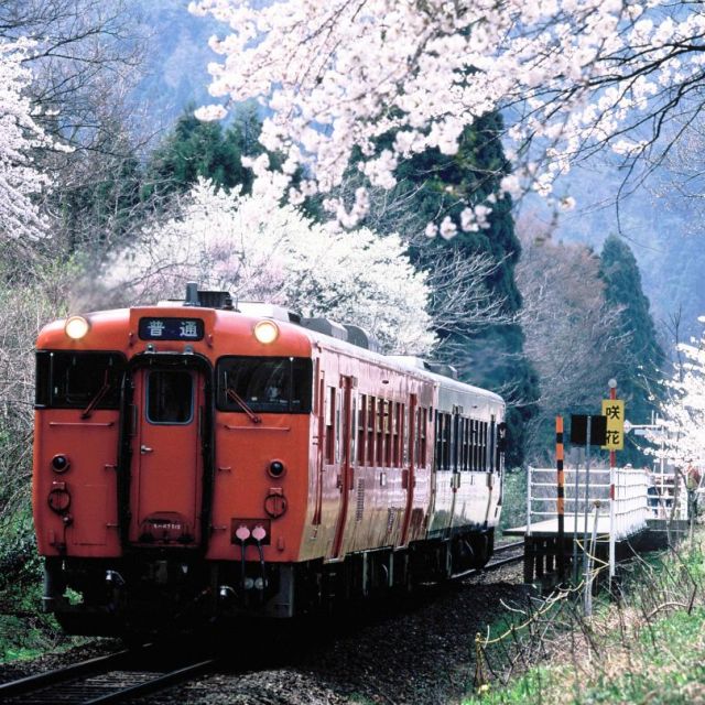 Sakihana Onsen