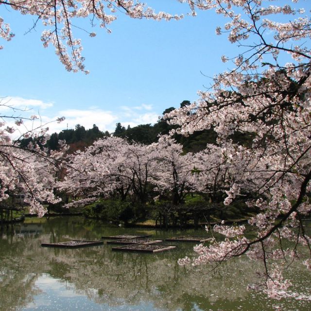 Muramatsu Park