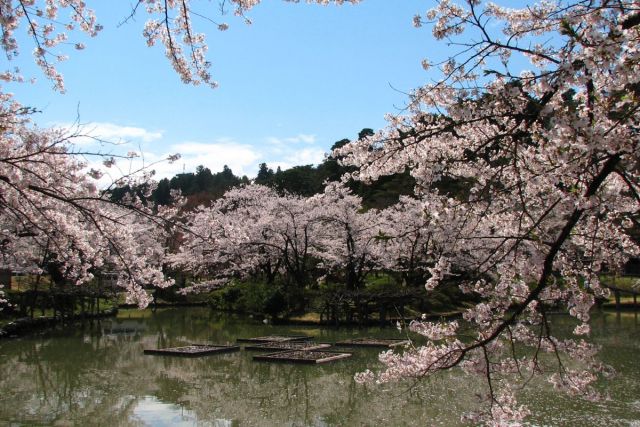 Muramatsu Park