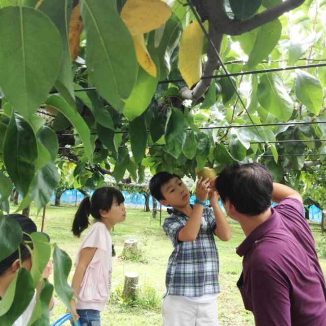 Shirone Daigo Nakamura Orchard