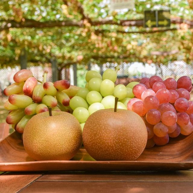 Fruit Dome Yamada Farm