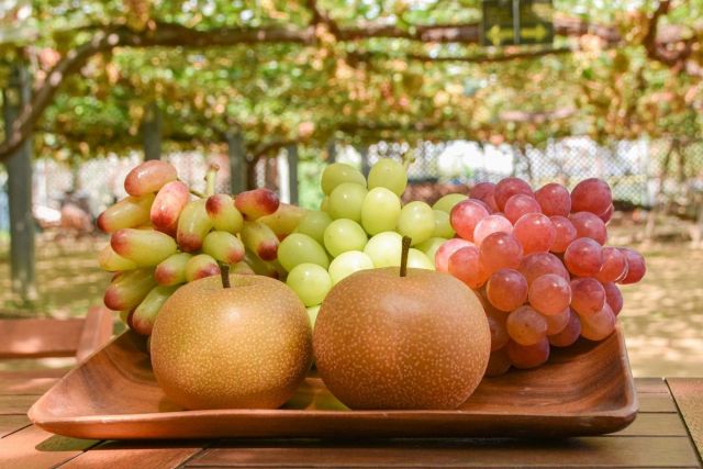 Fruit Dome Yamada Farm