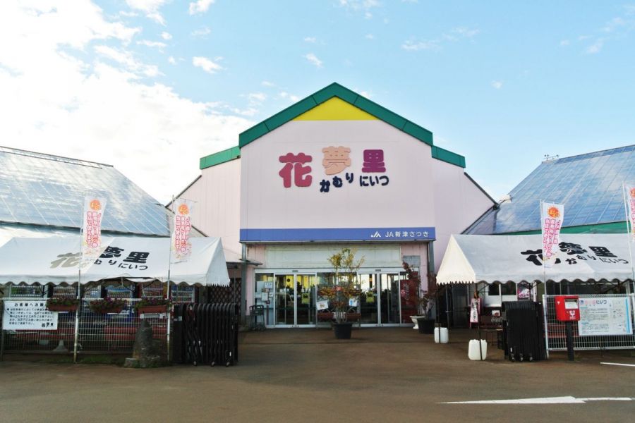 enjoy niigata welcome to niigata prefecture tourism guide