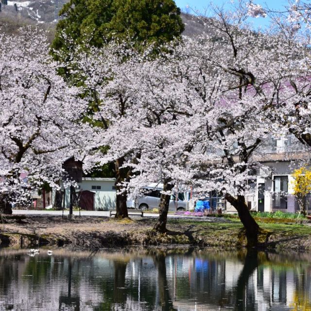 Omatsu no Ike Pond