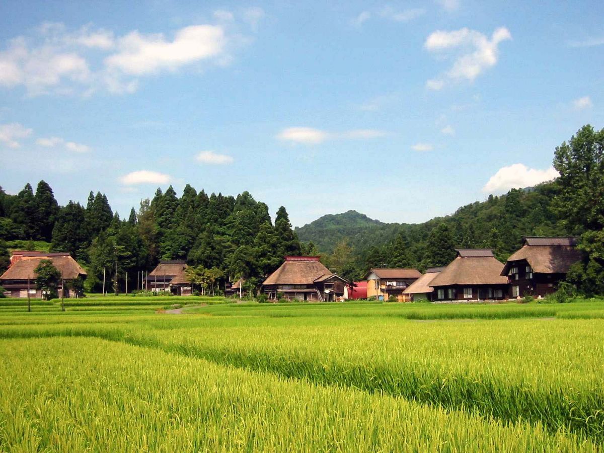 Viento Granma  Niigata-shi Niigata