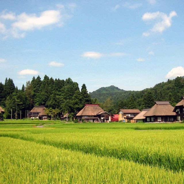 Историческая деревня «Каябуки-но Сато» в Такаянаги (Огиносима)