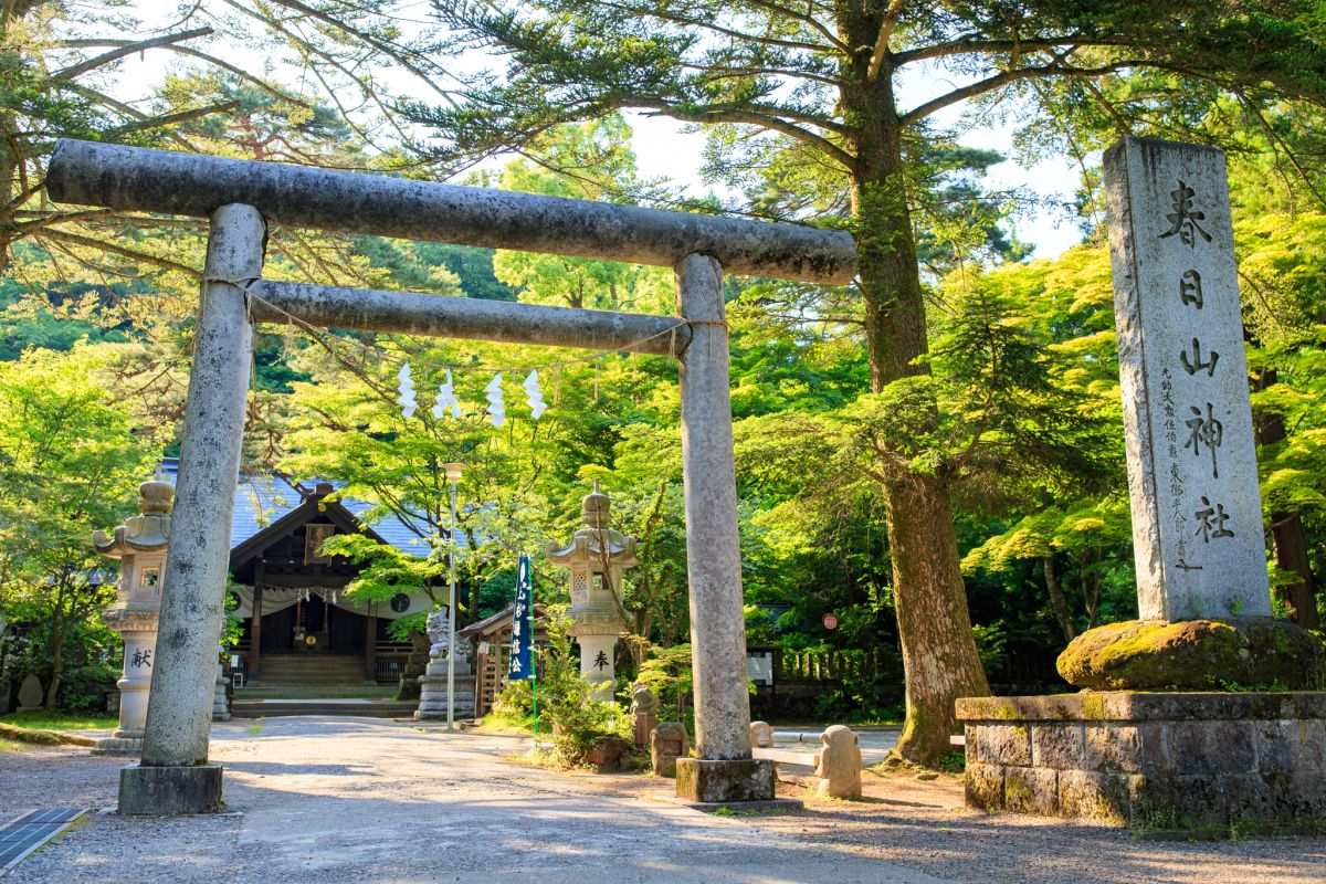 春日山神社 精彩景點 活動 暢享新潟