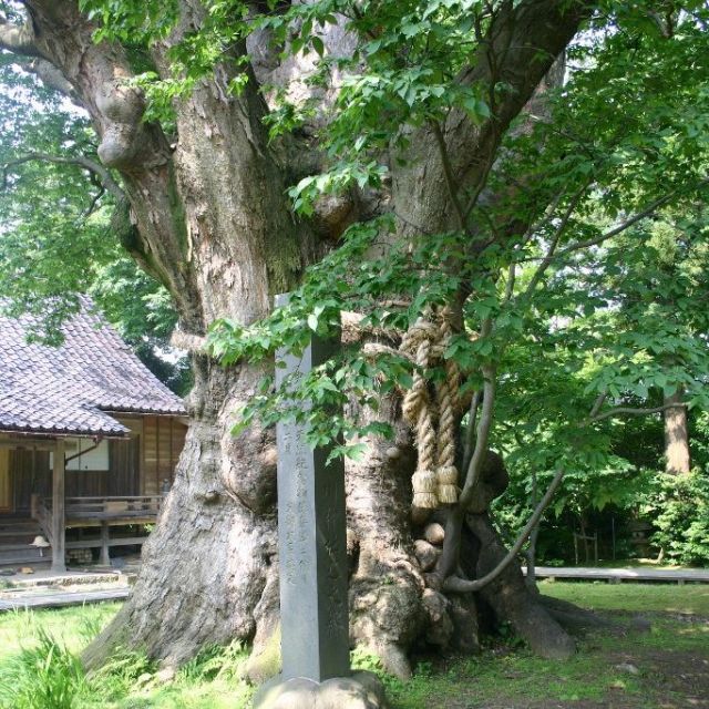 Ukawa Shrine no Okeyaki