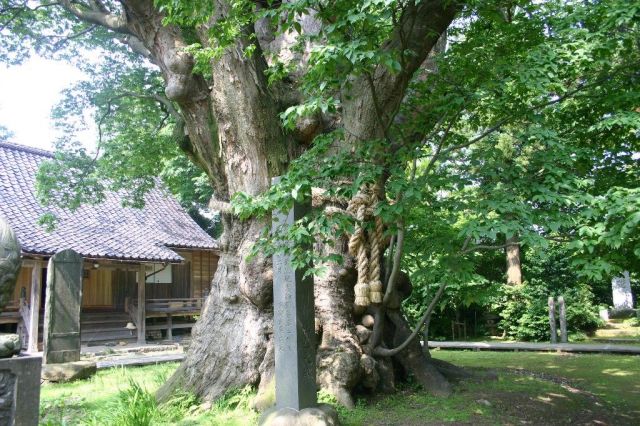 Ukawa Shrine no Okeyaki